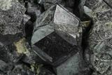 Black Andradite (Melanite) Garnet Cluster - Morocco #107901-1